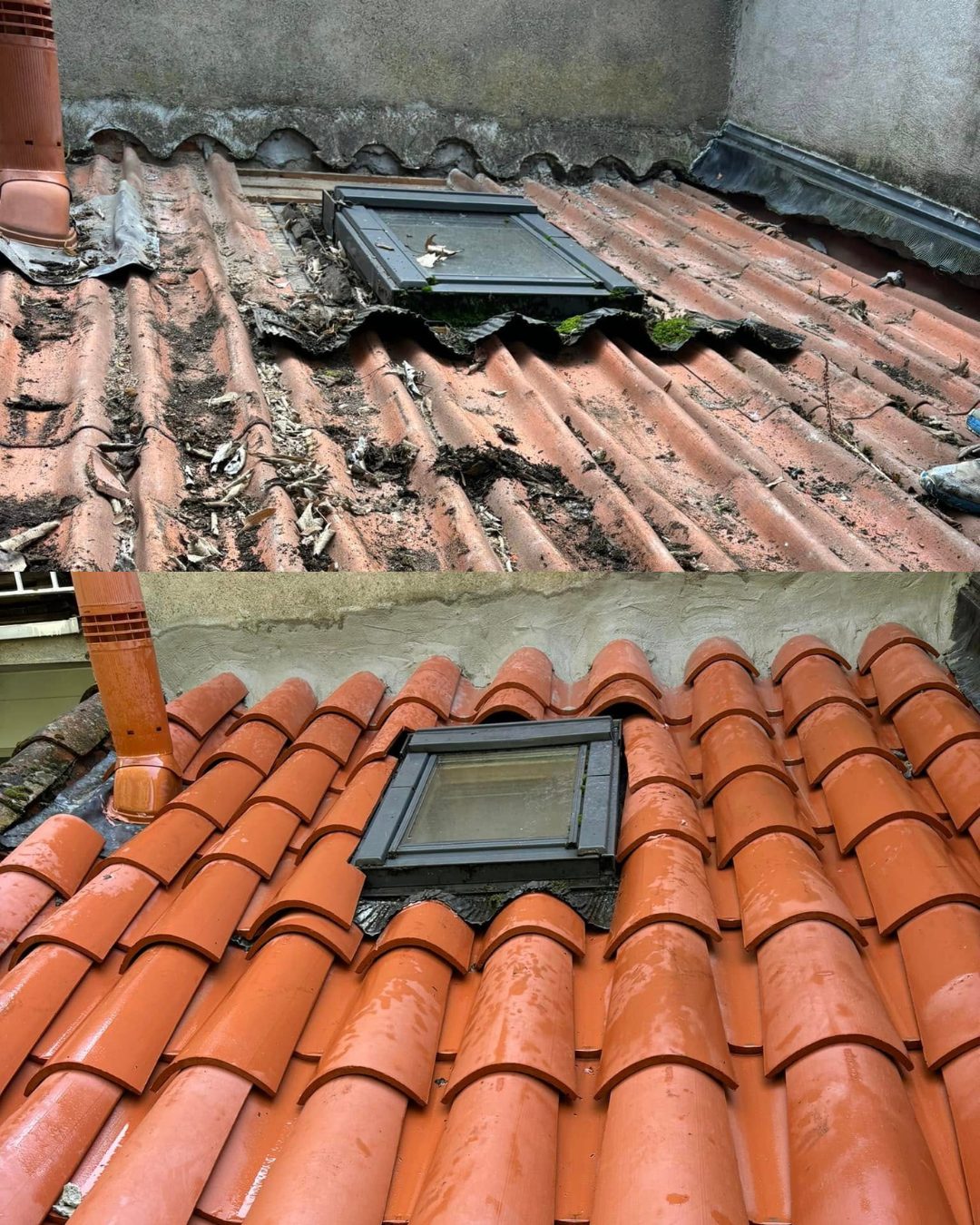 Démoussage et traitement hydrofuge de toiture à Castelnaudary
